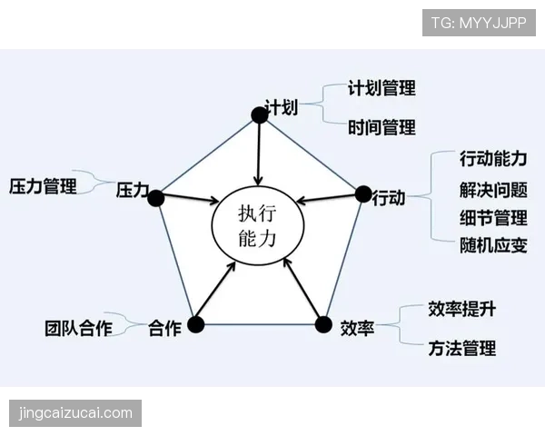 团队协作精细化分工，默契配合提升整体战术执行力